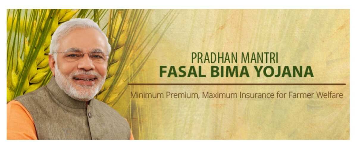 PM Fasal Bima Yojana: Government to Compensate Farmers for Crop Loss – How to Apply and Eligibility Details